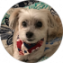 Laney Siegel Google Profile Image